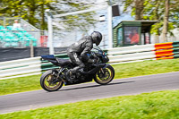 Middle Group Black Bikes